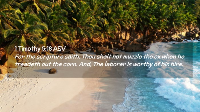 Picture 02 - 1 Timothy 5:18 ASV Desktop Wallpaper - For the scripture saith, Thou shalt not muzzle - Desktop Bible Verse Wallpaper