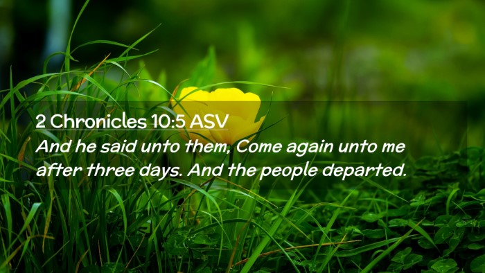 Picture 02 - 2 Chronicles 10:5 ASV Desktop Wallpaper - And he said unto them, Come again unto me after - Desktop Bible Verse Wallpaper
