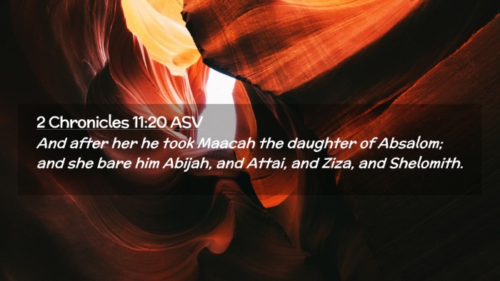 Picture 02 - 2 Chronicles 11:20 ASV Desktop Wallpaper - And after her he took Maacah the daughter of - Desktop Bible Verse Wallpaper
