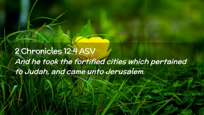 Picture 02 - 2 Chronicles 12:4 ASV Desktop Wallpaper - And he took the fortified cities which pertained - Desktop Bible Verse Wallpaper