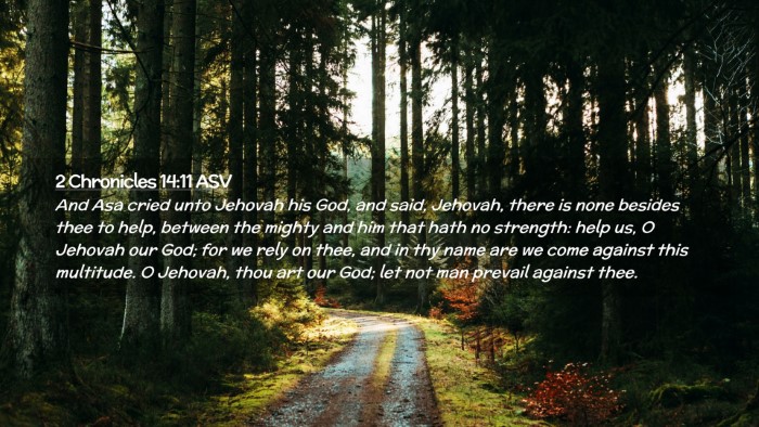 Picture 02 - 2 Chronicles 14:11 ASV Desktop Wallpaper - And Asa cried unto Jehovah his God, and said, - Desktop Bible Verse Wallpaper