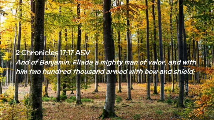 Picture 02 - 2 Chronicles 17:17 ASV Desktop Wallpaper - And of Benjamin: Eliada a mighty man of valor, - Desktop Bible Verse Wallpaper