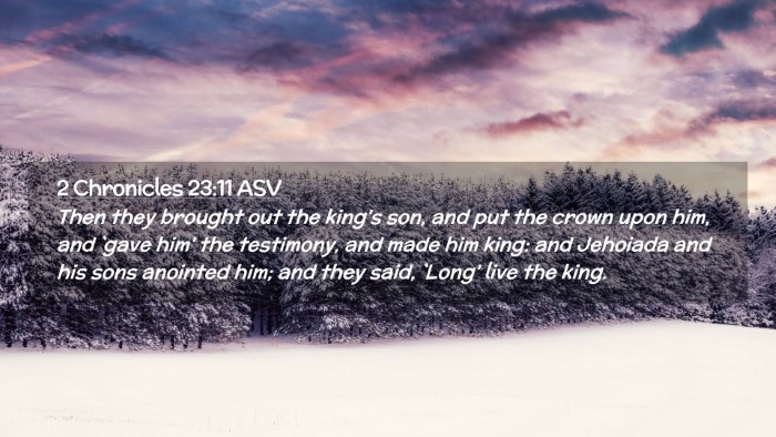 Picture 02 - 2 Chronicles 23:11 ASV Desktop Wallpaper - Then they brought out the king's son, and put the - Desktop Bible Verse Wallpaper