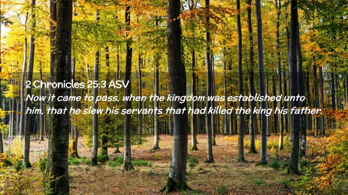 Picture 02 - 2 Chronicles 25:3 ASV Desktop Wallpaper - Now it came to pass, when the kingdom was - Desktop Bible Verse Wallpaper
