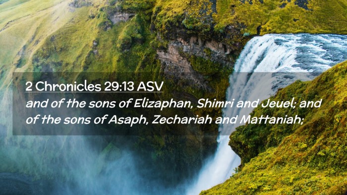 Picture 02 - 2 Chronicles 29:13 ASV Desktop Wallpaper - and of the sons of Elizaphan, Shimri and Jeuel; - Desktop Bible Verse Wallpaper