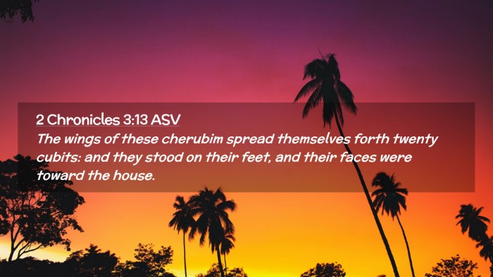 Picture 02 - 2 Chronicles 3:13 ASV Desktop Wallpaper - The wings of these cherubim spread themselves - Desktop Bible Verse Wallpaper