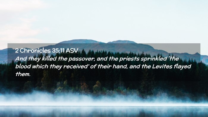 Picture 02 - 2 Chronicles 35:11 ASV Desktop Wallpaper - And they killed the passover, and the priests - Desktop Bible Verse Wallpaper