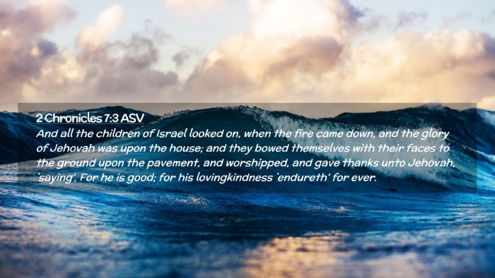 Picture 02 - 2 Chronicles 7:3 ASV Desktop Wallpaper - And all the children of Israel looked on, when - Desktop Bible Verse Wallpaper