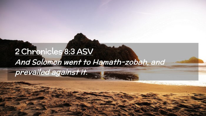 Picture 02 - 2 Chronicles 8:3 ASV Desktop Wallpaper - And Solomon went to Hamath-zobah, and prevailed - Desktop Bible Verse Wallpaper