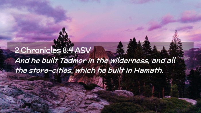 Picture 02 - 2 Chronicles 8:4 ASV Desktop Wallpaper - And he built Tadmor in the wilderness, and all - Desktop Bible Verse Wallpaper