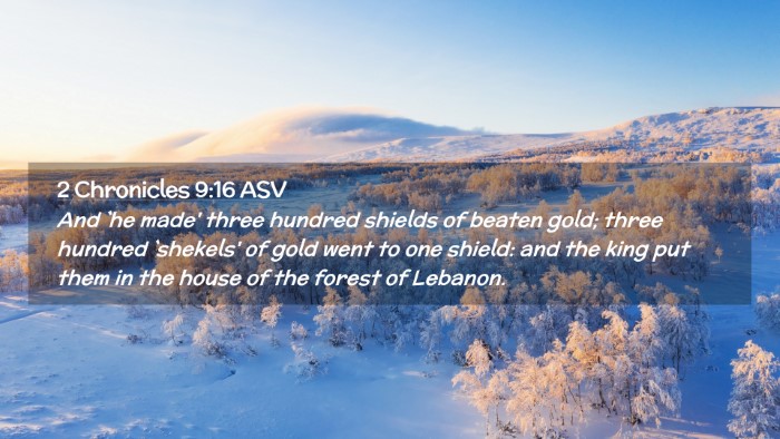 Picture 02 - 2 Chronicles 9:16 ASV Desktop Wallpaper - And `he made' three hundred shields of beaten - Desktop Bible Verse Wallpaper