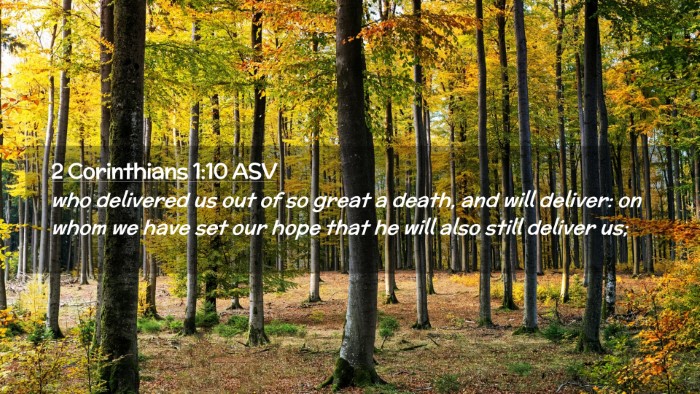 Picture 02 - 2 Corinthians 1:10 ASV Desktop Wallpaper - who delivered us out of so great a death, and - Desktop Bible Verse Wallpaper