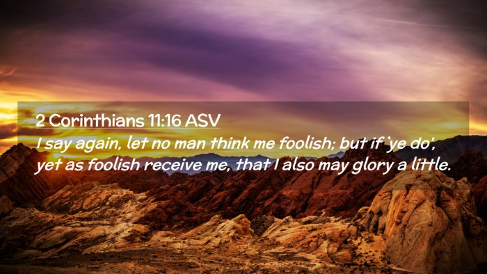Picture 02 - 2 Corinthians 11:16 ASV Desktop Wallpaper - I say again, let no man think me foolish; but if - Desktop Bible Verse Wallpaper