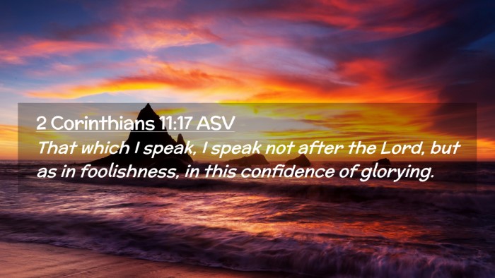 Picture 02 - 2 Corinthians 11:17 ASV Desktop Wallpaper - That which I speak, I speak not after the Lord, - Desktop Bible Verse Wallpaper