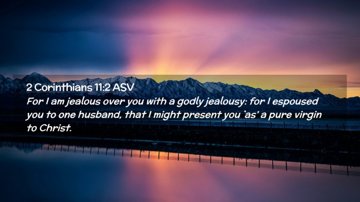 Picture 02 - 2 Corinthians 11:2 ASV Desktop Wallpaper - For I am jealous over you with a godly jealousy: - Desktop Bible Verse Wallpaper