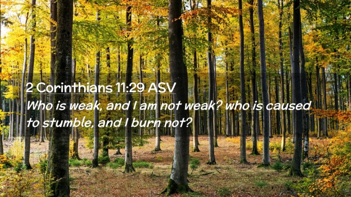 Picture 02 - 2 Corinthians 11:29 ASV Desktop Wallpaper - Who is weak, and I am not weak? who is caused to - Desktop Bible Verse Wallpaper