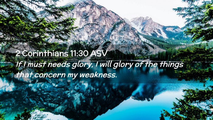 Picture 02 - 2 Corinthians 11:30 ASV Desktop Wallpaper - If I must needs glory, I will glory of the things - Desktop Bible Verse Wallpaper