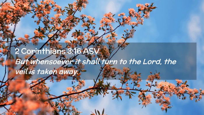 Picture 02 - 2 Corinthians 3:16 ASV Desktop Wallpaper - But whensoever it shall turn to the Lord, the - Desktop Bible Verse Wallpaper