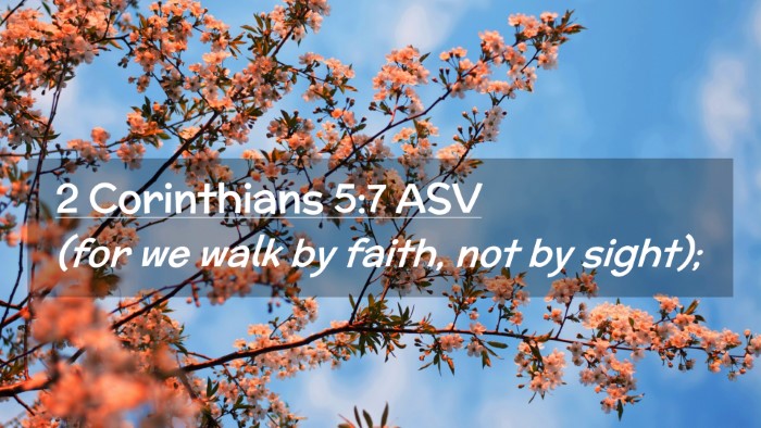 Picture 02 - 2 Corinthians 5:7 ASV Desktop Wallpaper - (for we walk by faith, not by - Desktop Bible Verse Wallpaper