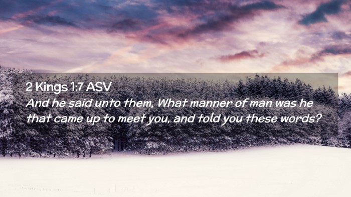 Picture 02 - 2 Kings 1:7 ASV Desktop Wallpaper - And he said unto them, What manner of man was he - Desktop Bible Verse Wallpaper