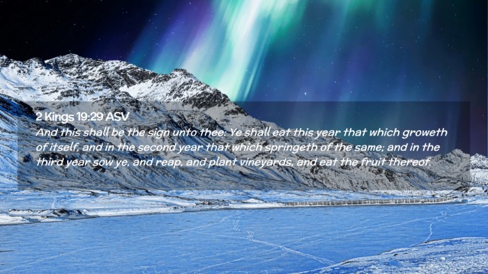 Picture 02 - 2 Kings 19:29 ASV Desktop Wallpaper - And this shall be the sign unto thee: Ye shall - Desktop Bible Verse Wallpaper