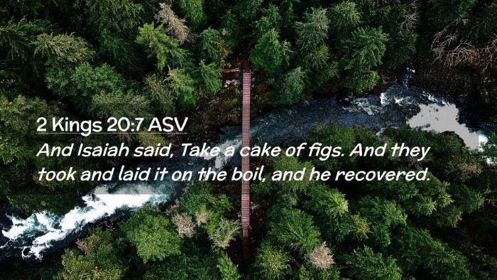 Picture 02 - 2 Kings 20:7 ASV Desktop Wallpaper - And Isaiah said, Take a cake of figs. And they - Desktop Bible Verse Wallpaper