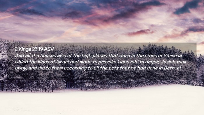 Picture 02 - 2 Kings 23:19 ASV Desktop Wallpaper - And all the houses also of the high places that - Desktop Bible Verse Wallpaper
