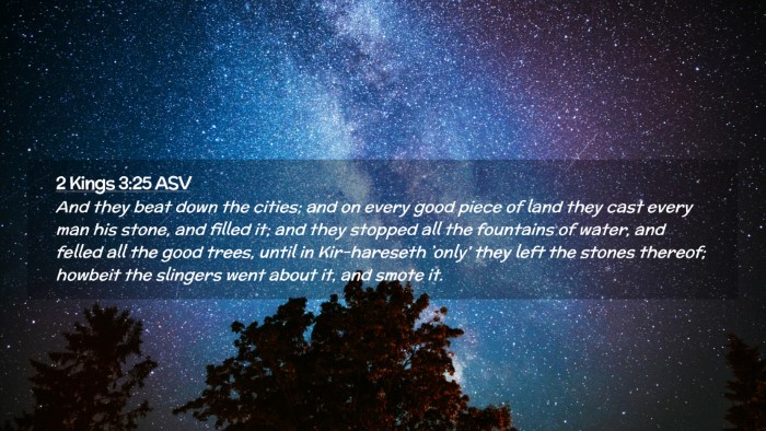 Picture 02 - 2 Kings 3:25 ASV Desktop Wallpaper - And they beat down the cities; and on every good - Desktop Bible Verse Wallpaper