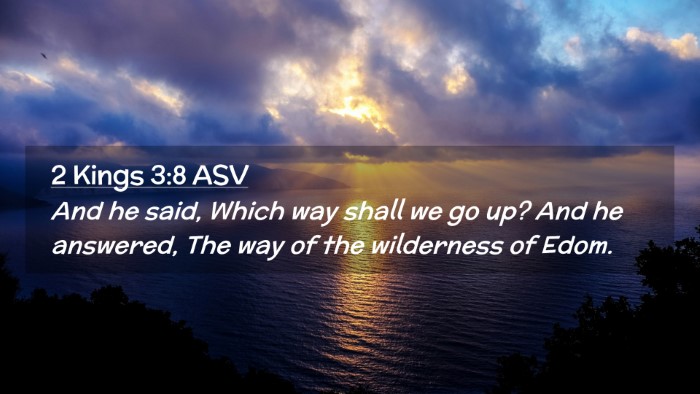Picture 02 - 2 Kings 3:8 ASV Desktop Wallpaper - And he said, Which way shall we go up? And he - Desktop Bible Verse Wallpaper