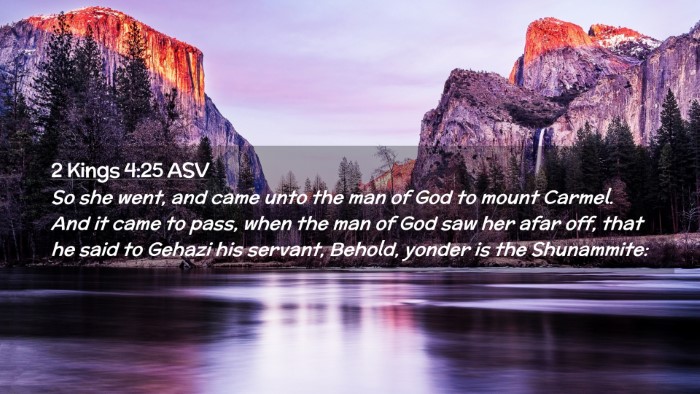 Picture 02 - 2 Kings 4:25 ASV Desktop Wallpaper - So she went, and came unto the man of God to - Desktop Bible Verse Wallpaper