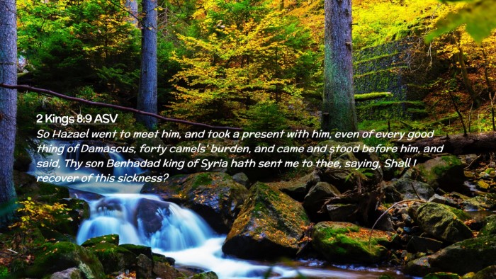 Picture 02 - 2 Kings 8:9 ASV Desktop Wallpaper - So Hazael went to meet him, and took a present - Desktop Bible Verse Wallpaper