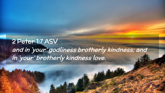 Picture 02 - 2 Peter 1:7 ASV Desktop Wallpaper - and in `your' godliness brotherly kindness; and - Desktop Bible Verse Wallpaper
