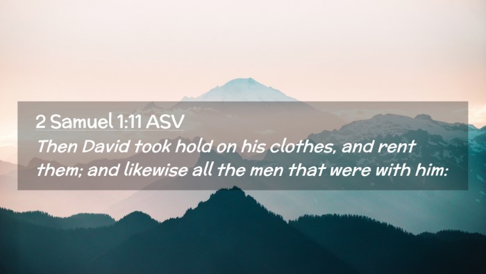 Picture 02 - 2 Samuel 1:11 ASV Desktop Wallpaper - Then David took hold on his clothes, and rent - Desktop Bible Verse Wallpaper