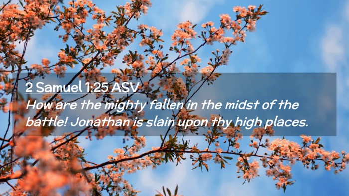 Picture 02 - 2 Samuel 1:25 ASV Desktop Wallpaper - How are the mighty fallen in the midst of the - Desktop Bible Verse Wallpaper