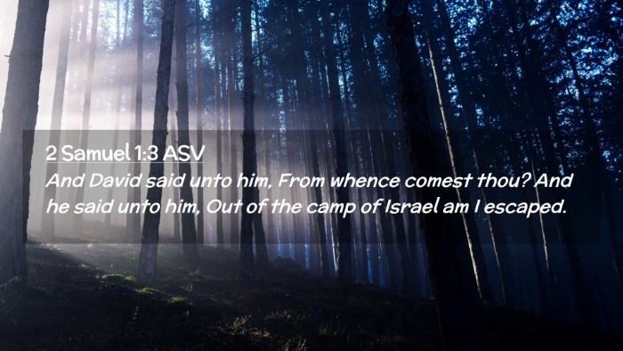 Picture 02 - 2 Samuel 1:3 ASV Desktop Wallpaper - And David said unto him, From whence comest thou? - Desktop Bible Verse Wallpaper