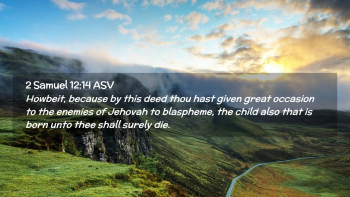 Picture 02 - 2 Samuel 12:14 ASV Desktop Wallpaper - Howbeit, because by this deed thou hast given - Desktop Bible Verse Wallpaper