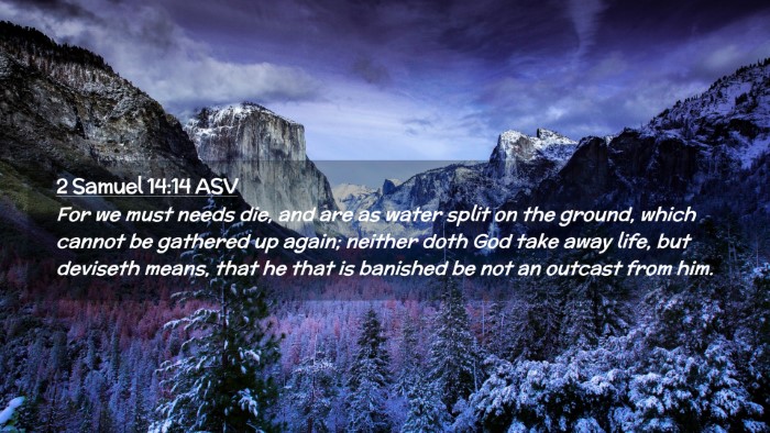 Picture 02 - 2 Samuel 14:14 ASV Desktop Wallpaper - For we must needs die, and are as water split on - Desktop Bible Verse Wallpaper