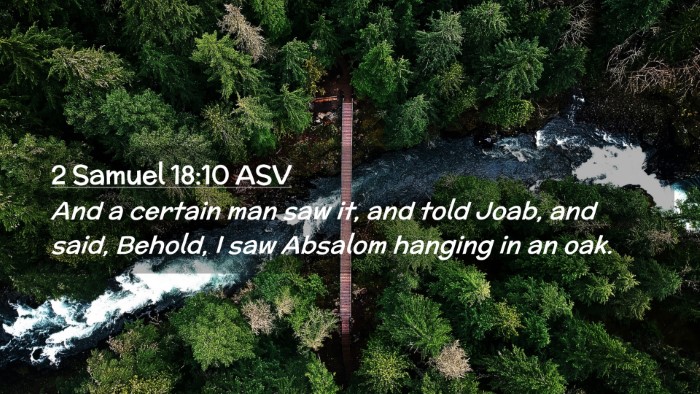 Picture 02 - 2 Samuel 18:10 ASV Desktop Wallpaper - And a certain man saw it, and told Joab, and - Desktop Bible Verse Wallpaper
