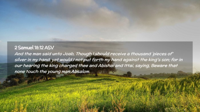 Picture 02 - 2 Samuel 18:12 ASV Desktop Wallpaper - And the man said unto Joab, Though I should - Desktop Bible Verse Wallpaper