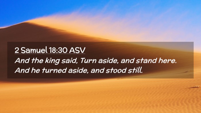 Picture 02 - 2 Samuel 18:30 ASV Desktop Wallpaper - And the king said, Turn aside, and stand here. - Desktop Bible Verse Wallpaper