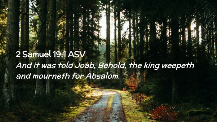 Picture 02 - 2 Samuel 19:1 ASV Desktop Wallpaper - And it was told Joab, Behold, the king weepeth - Desktop Bible Verse Wallpaper