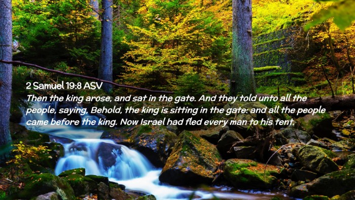 Picture 02 - 2 Samuel 19:8 ASV Desktop Wallpaper - Then the king arose, and sat in the gate. And - Desktop Bible Verse Wallpaper