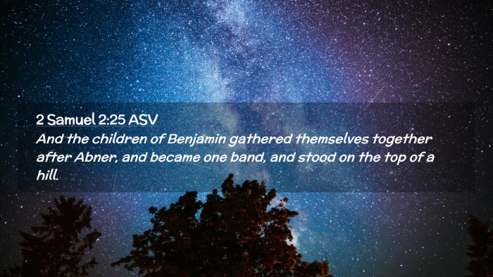 Picture 02 - 2 Samuel 2:25 ASV Desktop Wallpaper - And the children of Benjamin gathered themselves - Desktop Bible Verse Wallpaper