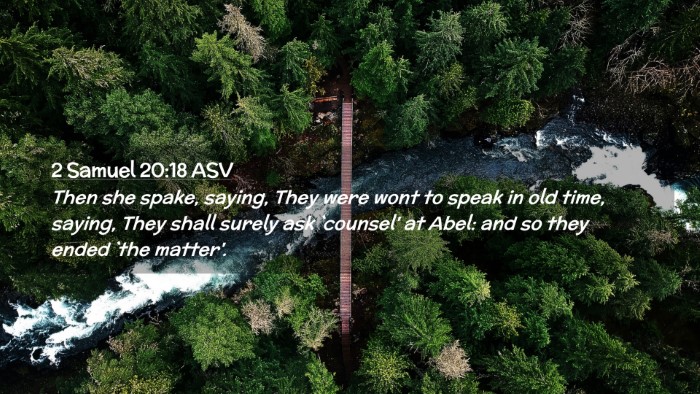 Picture 02 - 2 Samuel 20:18 ASV Desktop Wallpaper - Then she spake, saying, They were wont to speak - Desktop Bible Verse Wallpaper