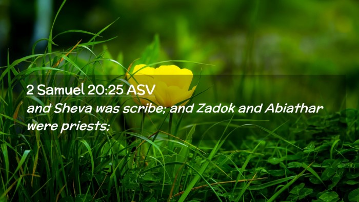 Picture 02 - 2 Samuel 20:25 ASV Desktop Wallpaper - and Sheva was scribe; and Zadok and Abiathar were - Desktop Bible Verse Wallpaper