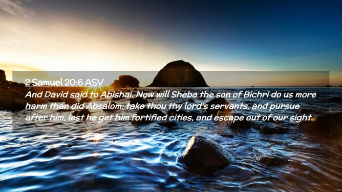 Picture 02 - 2 Samuel 20:6 ASV Desktop Wallpaper - And David said to Abishai, Now will Sheba the son - Desktop Bible Verse Wallpaper