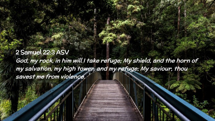 Picture 02 - 2 Samuel 22:3 ASV Desktop Wallpaper - God, my rock, in him will I take refuge; My - Desktop Bible Verse Wallpaper