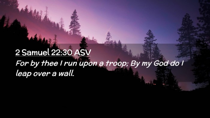 Picture 02 - 2 Samuel 22:30 ASV Desktop Wallpaper - For by thee I run upon a troop; By my God do I - Desktop Bible Verse Wallpaper