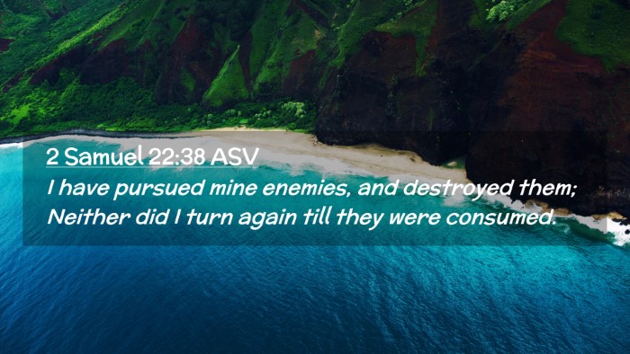 Picture 02 - 2 Samuel 22:38 ASV Desktop Wallpaper - I have pursued mine enemies, and destroyed them; - Desktop Bible Verse Wallpaper