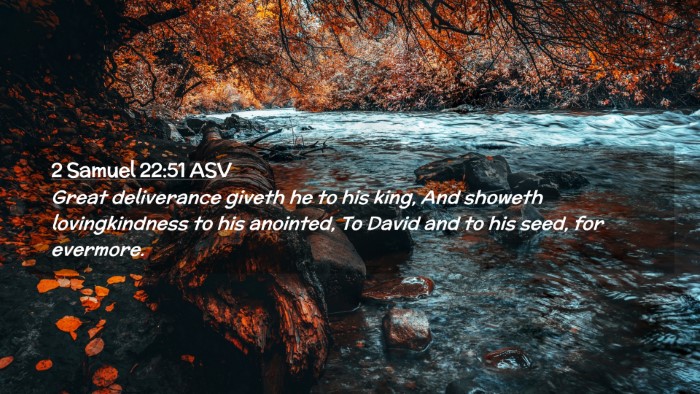 Picture 02 - 2 Samuel 22:51 ASV Desktop Wallpaper - Great deliverance giveth he to his king, And - Desktop Bible Verse Wallpaper
